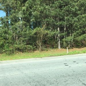 Meet your Posher, Lela